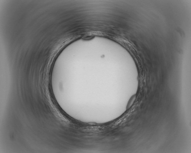 X0000112050049200908251007