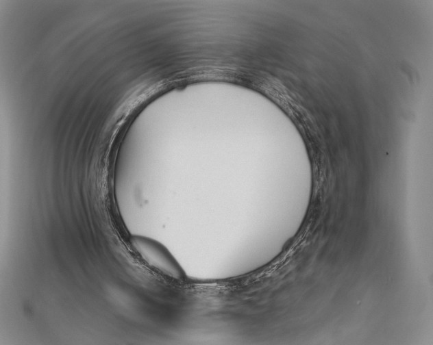 X0000112050050200908251007