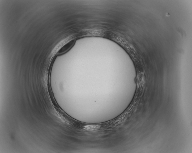 X0000112050051200908251007