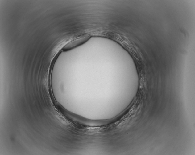 X0000112050052200908251007