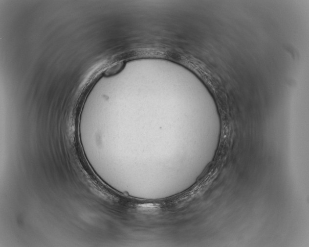 X0000112050053200908251007