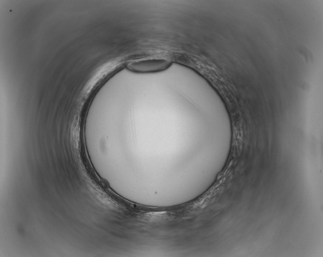 X0000112050054200908251007