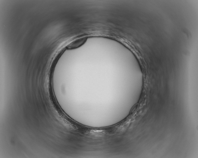 X0000112050055200908251007