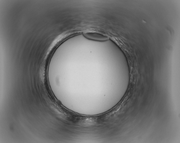 X0000112050056200908251007