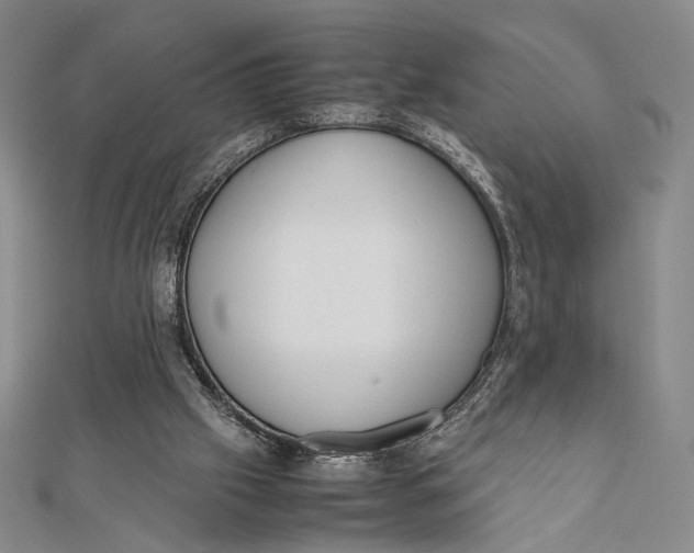 X0000112050057200908251007