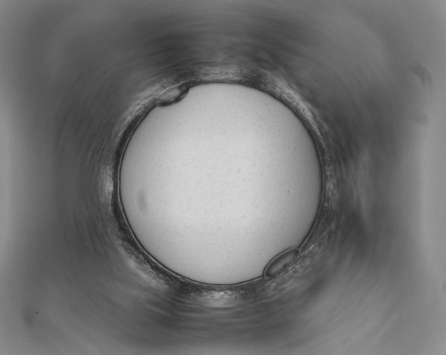 X0000112050059200908251007