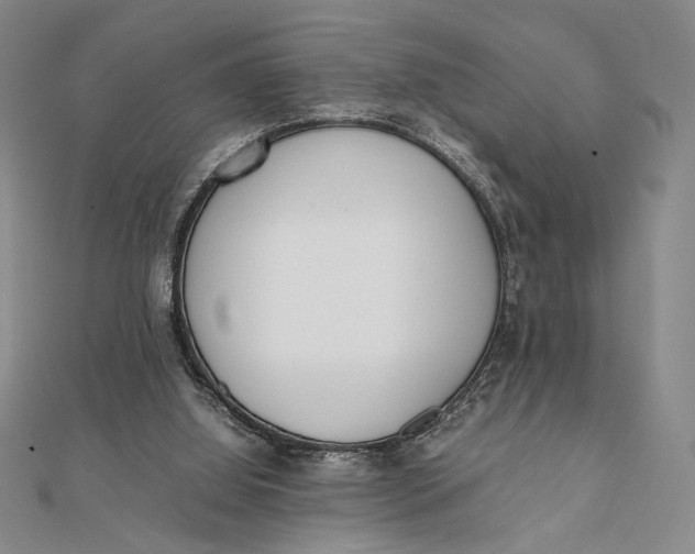 X0000112050060200908251007