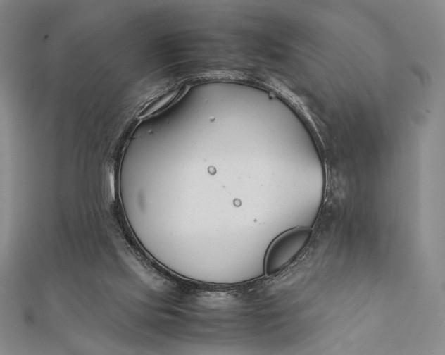 X0000112050061200908251007