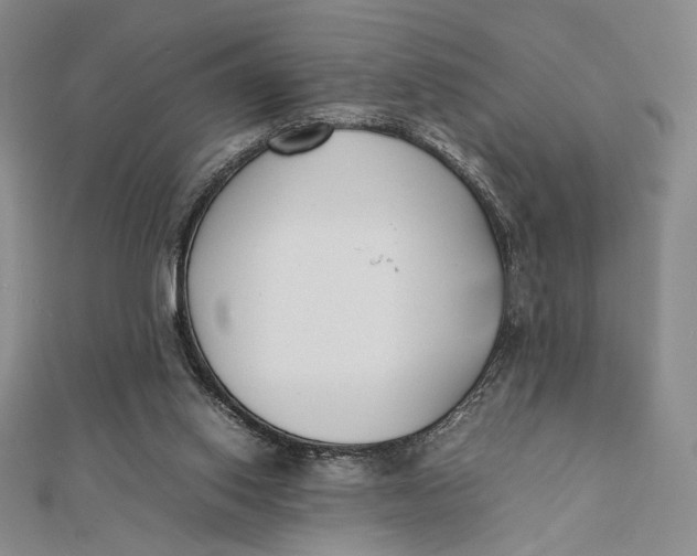 X0000112050062200908251007