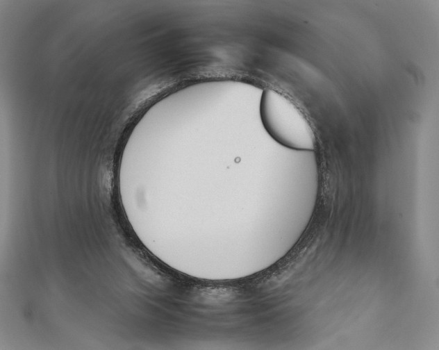 X0000112050063200908251007