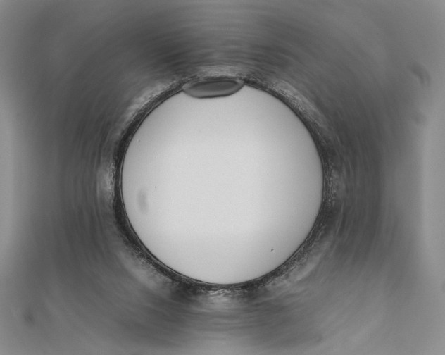 X0000112050064200908251007