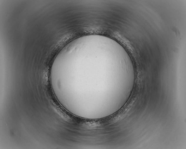 X0000112050065200908251007