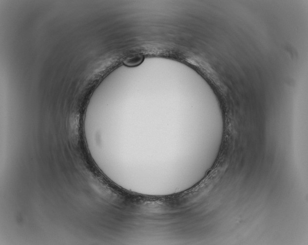 X0000112050066200908251007