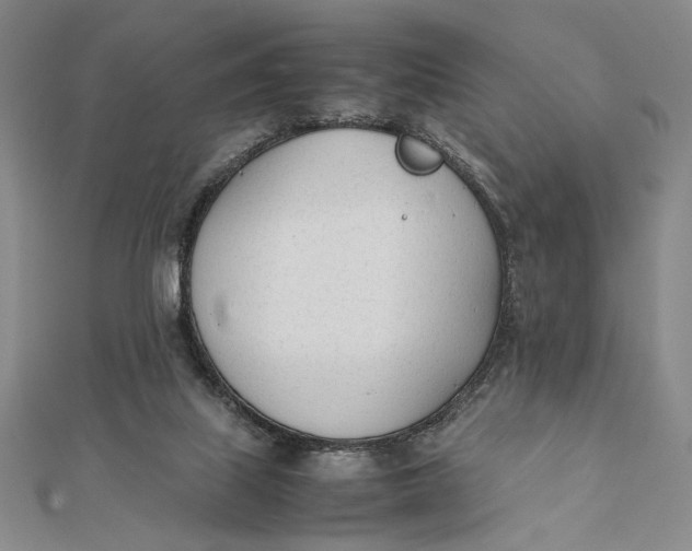 X0000112050067200908251007