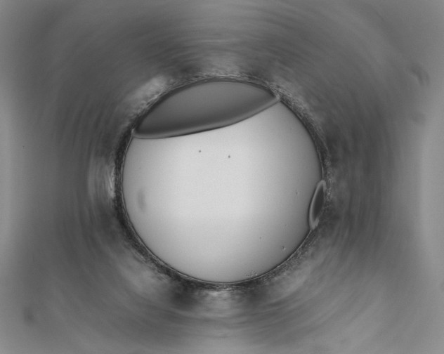 X0000112050068200908251007