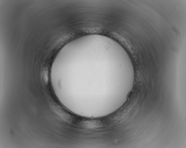 X0000112050069200908251007