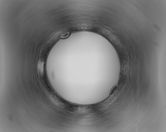 X0000112050070200908251007