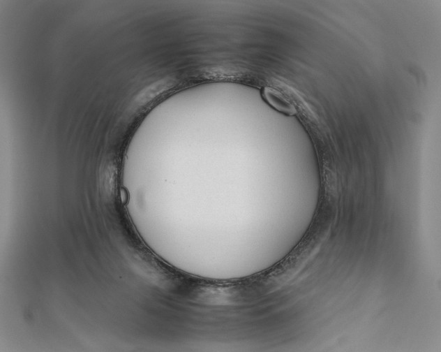 X0000112050071200908251007