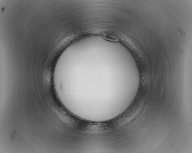 X0000112050072200908251007