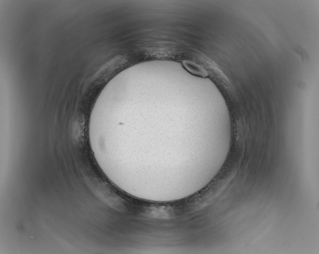 X0000112050073200908251007