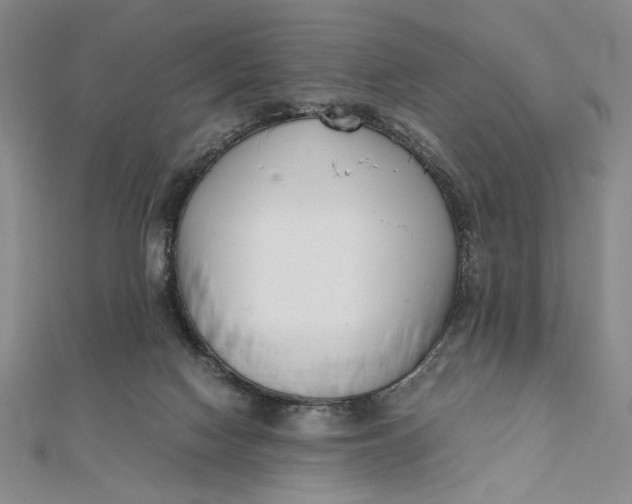 X0000112050074200908251007