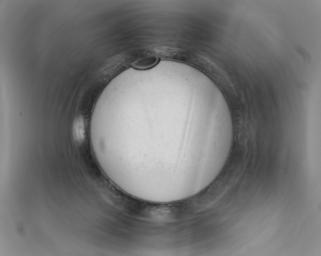 X0000112050075200908251007