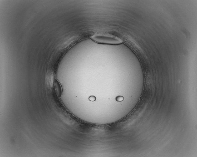 X0000112050076200908251008