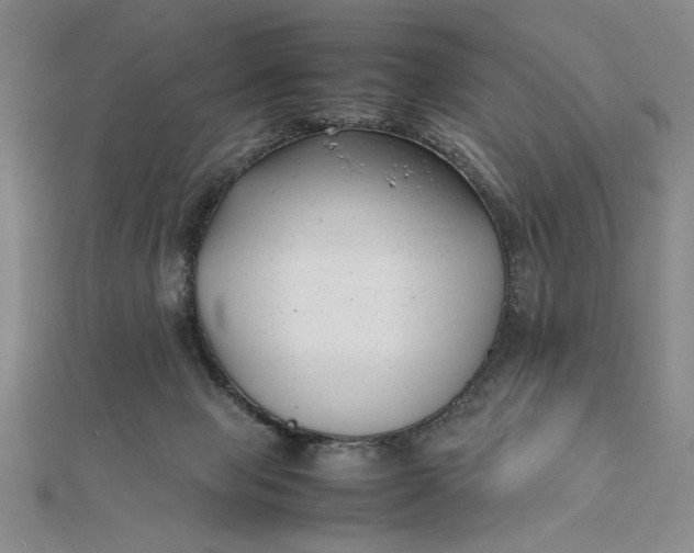 X0000112050077200908251008