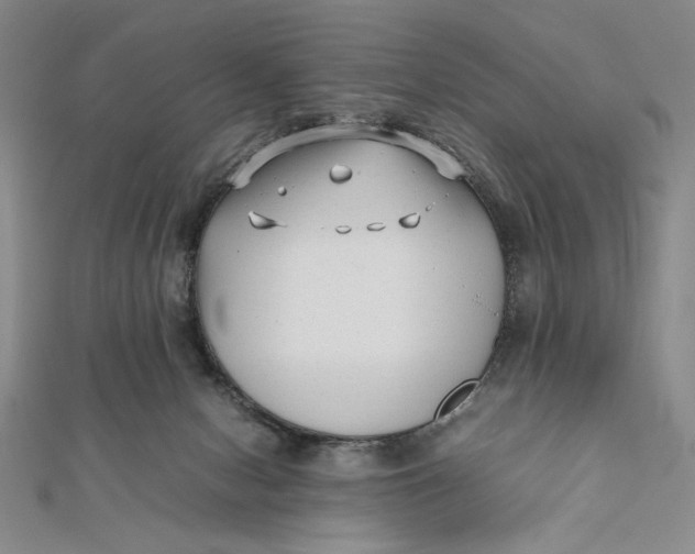 X0000112050078200908251008