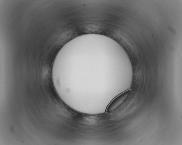 X0000112050079200908251008