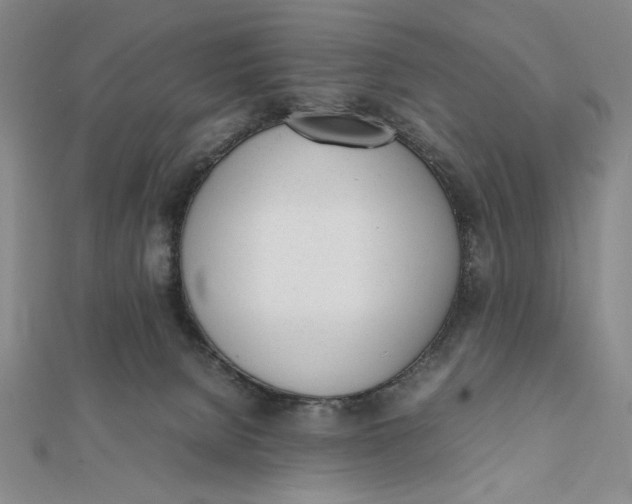 X0000112050080200908251008