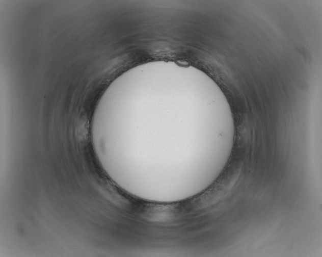 X0000112050081200908251008