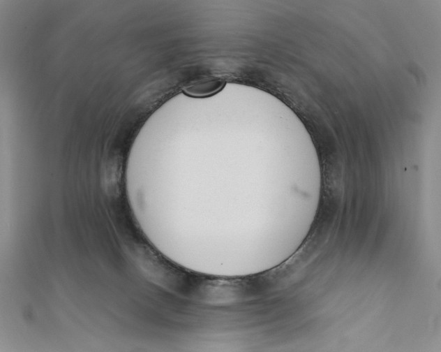 X0000112050082200908251008