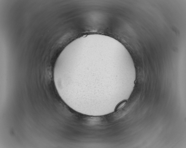 X0000112050085200908251008