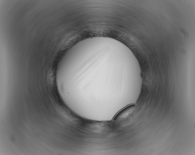 X0000112050086200908251008