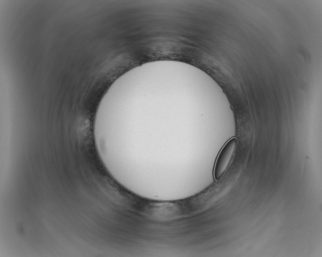 X0000112050087200908251008