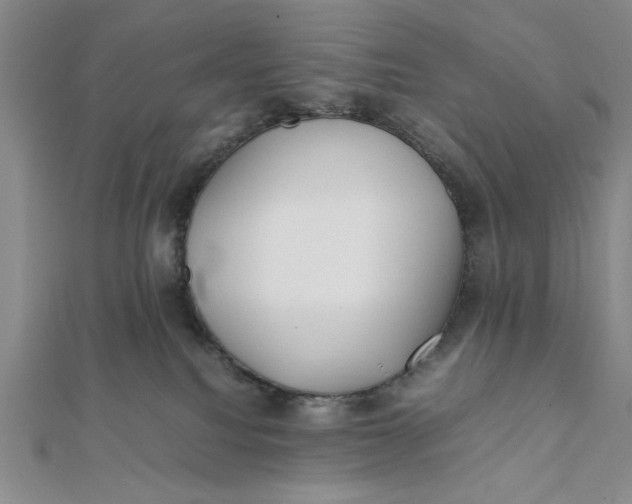 X0000112050088200908251008