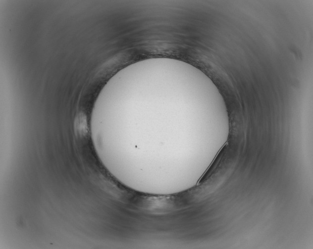 X0000112050089200908251008