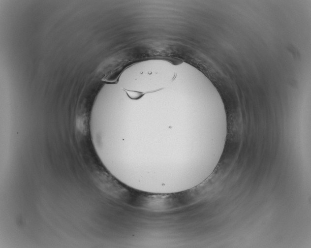 X0000112050090200908251008