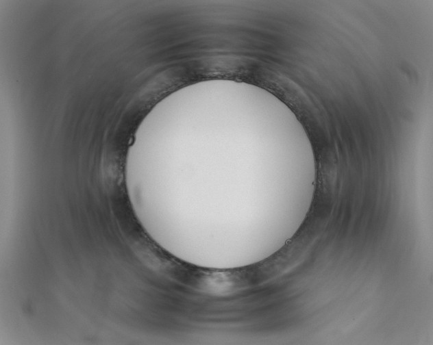 X0000112050091200908251008