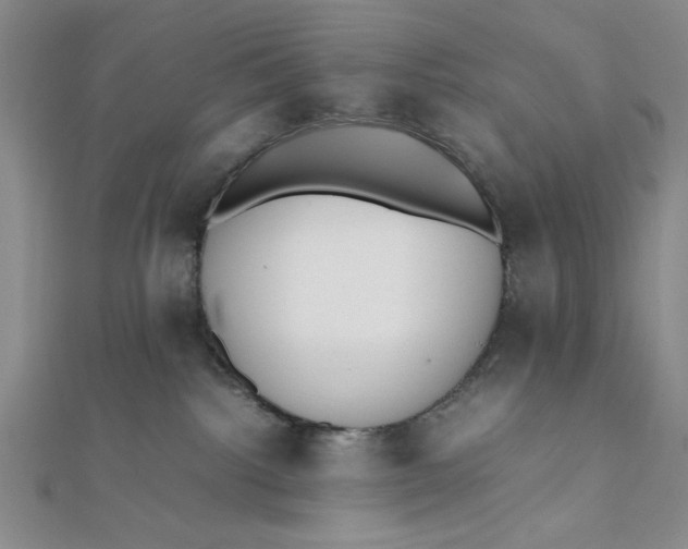 X0000112050092200908251008