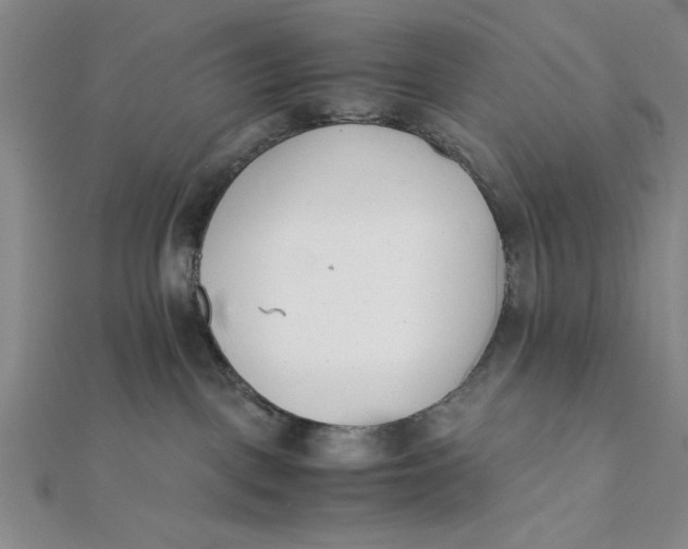 X0000112050093200908251008