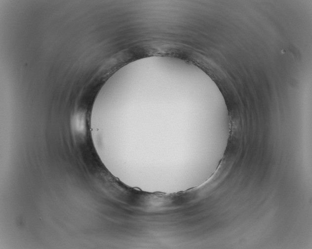 X0000112050094200908251008