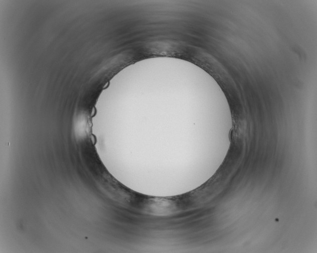 X0000112050095200908251008