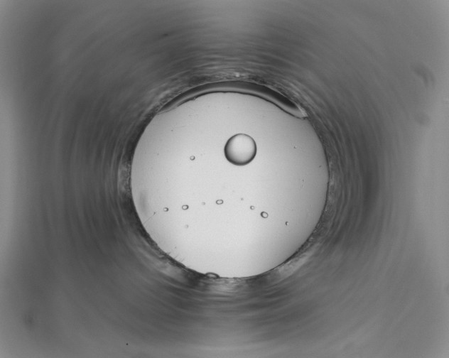 X0000112050096200908251008