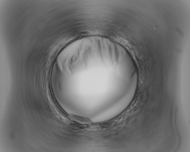 X0000112050097200908251007