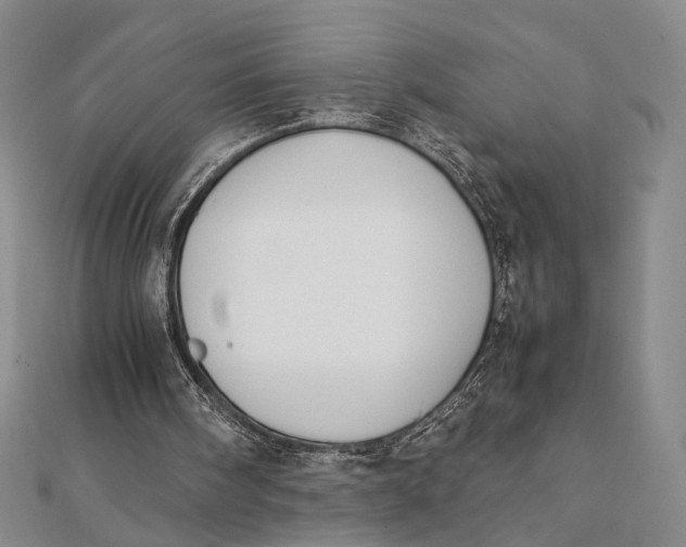 X0000112050098200908251007