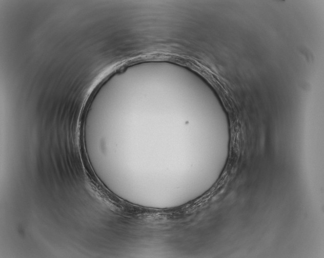 X0000112050100200908251007