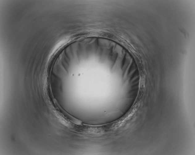 X0000112050101200908251007