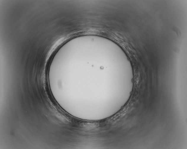 X0000112050102200908251007